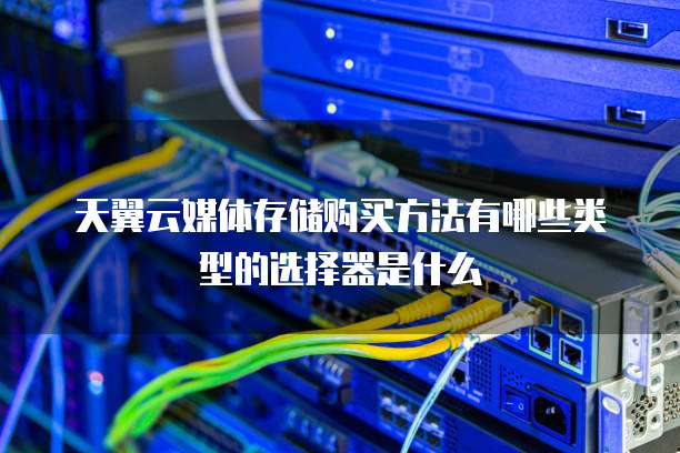 存储服务器购买方法与类型全解析 如何选择并利用支持服务